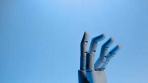 Digital Sustainability Foundations